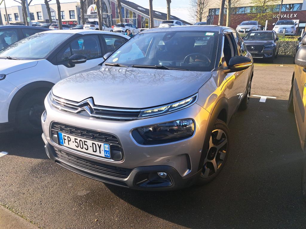 C4 CACTUS