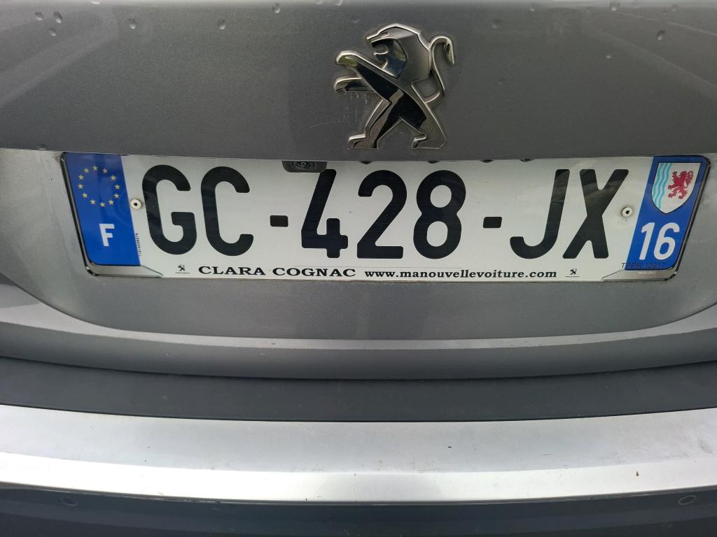 Peugeot 2008 BlueHDi 110 S&S BVM6 Active Business 2021