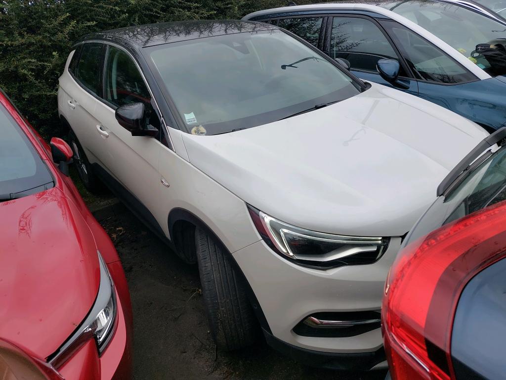Opel Grandland X 1.5 Diesel 130 ch BVA8 Elegance Business 2021