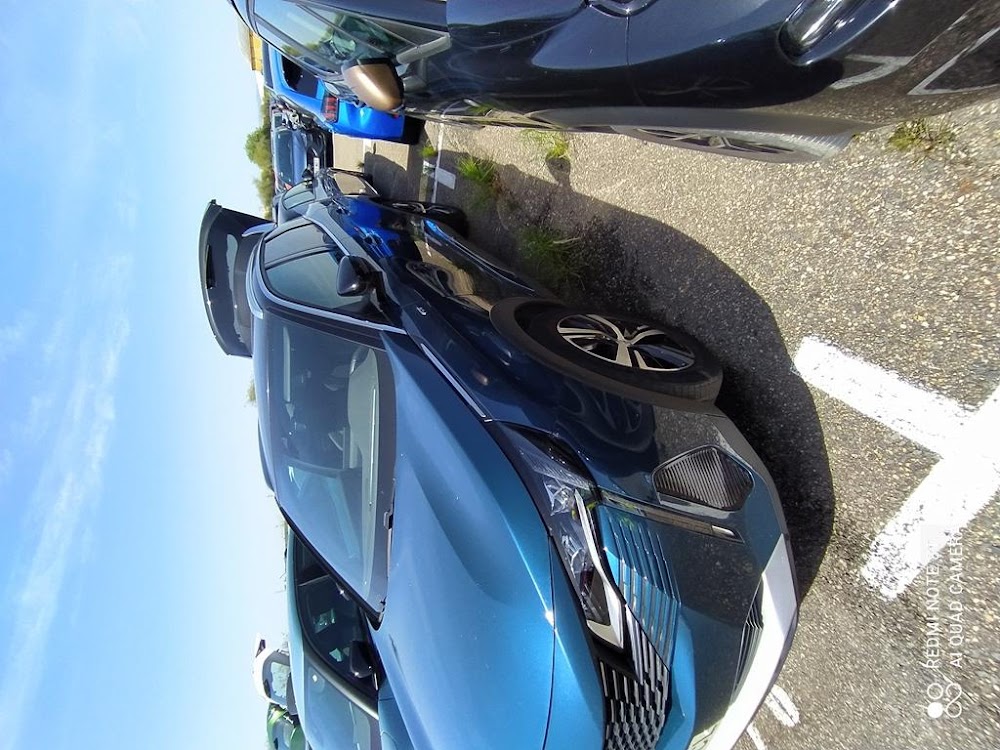Foto Peugeot 3008 4