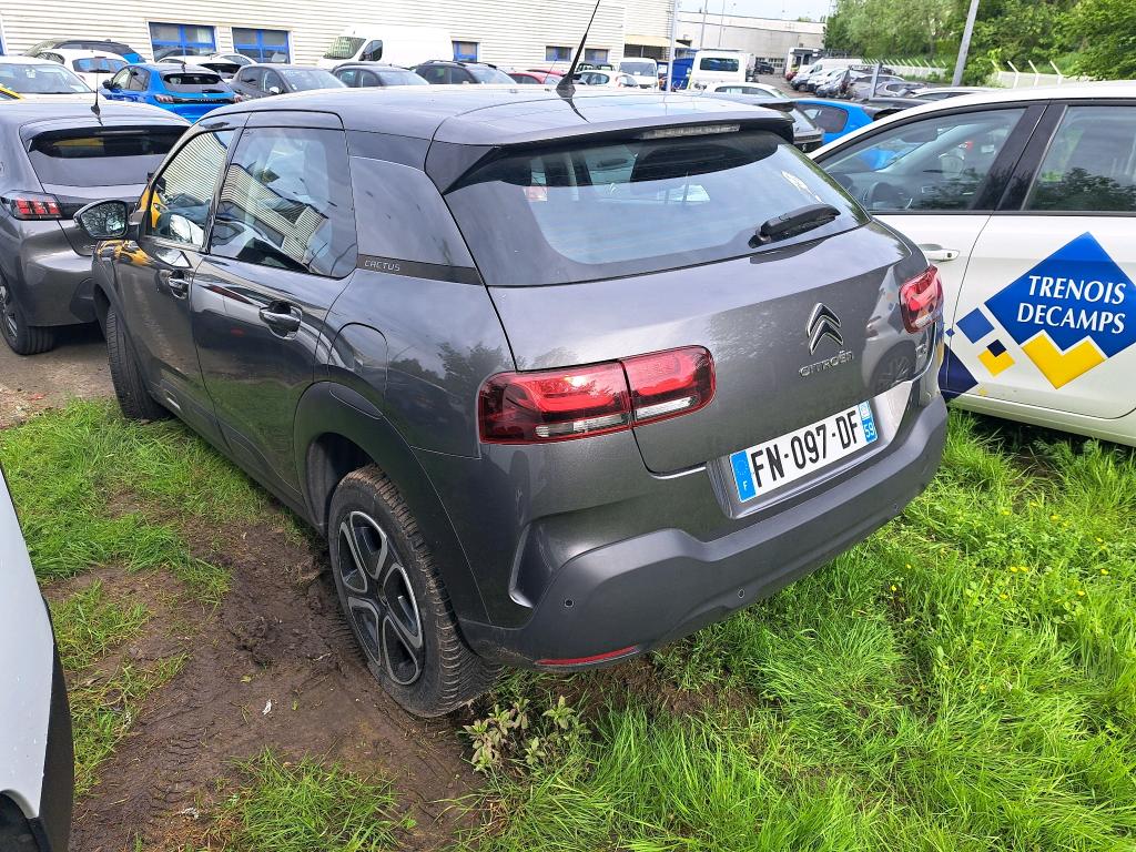 Citroen C4 Cactus BlueHDi 100 S&S BVM6 Feel 2020