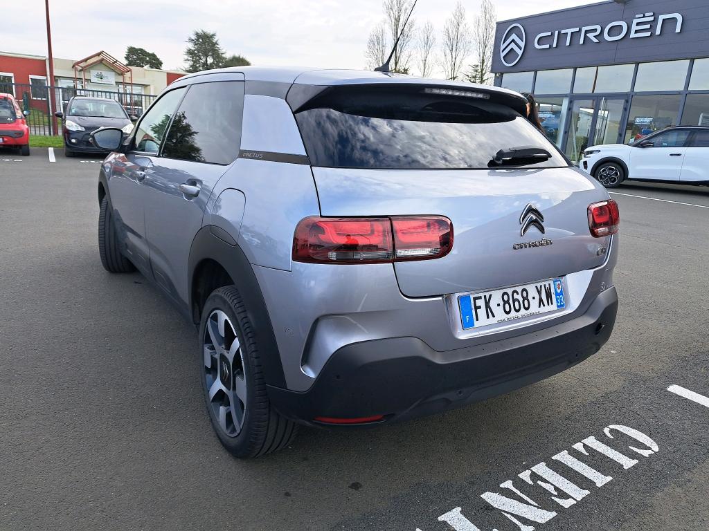 Citroen C4 Cactus BlueHDi 100 S&S BVM6 Shine Business 2019