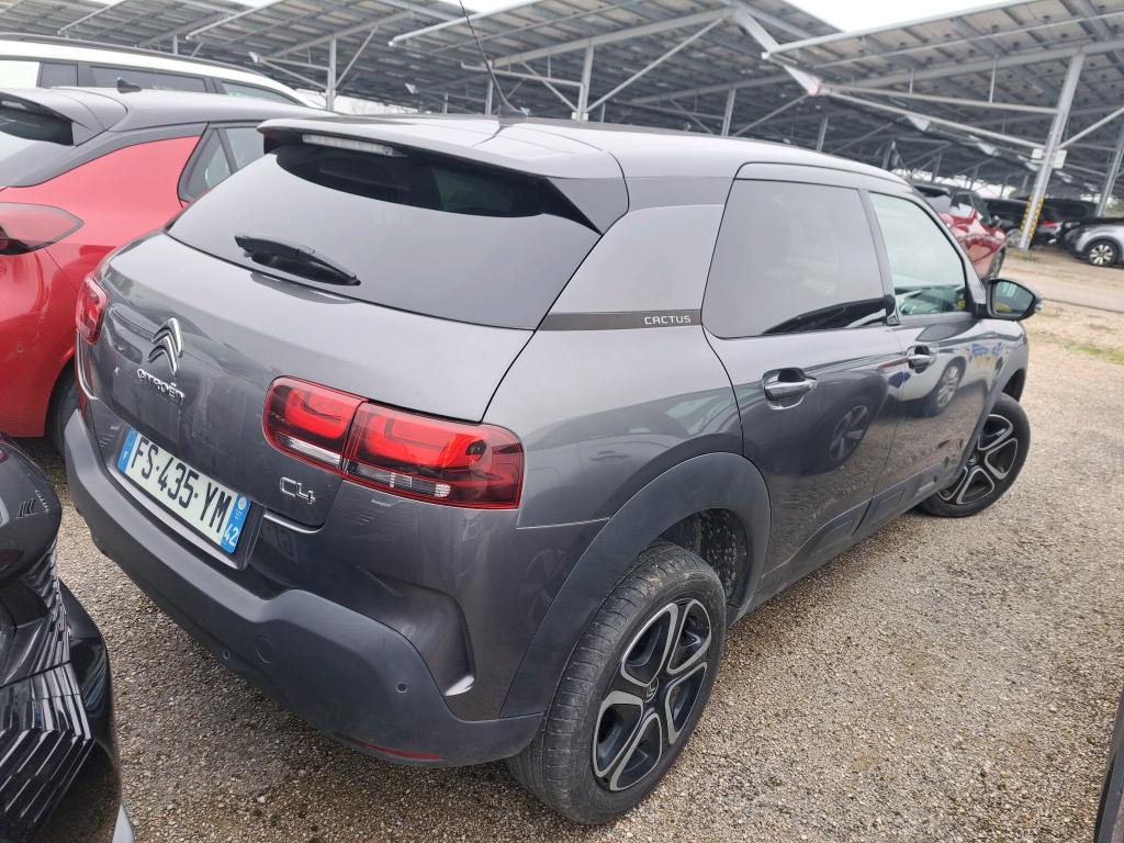 Citroen C4 Cactus BlueHDi 100 S&S BVM6 Feel Business 2020