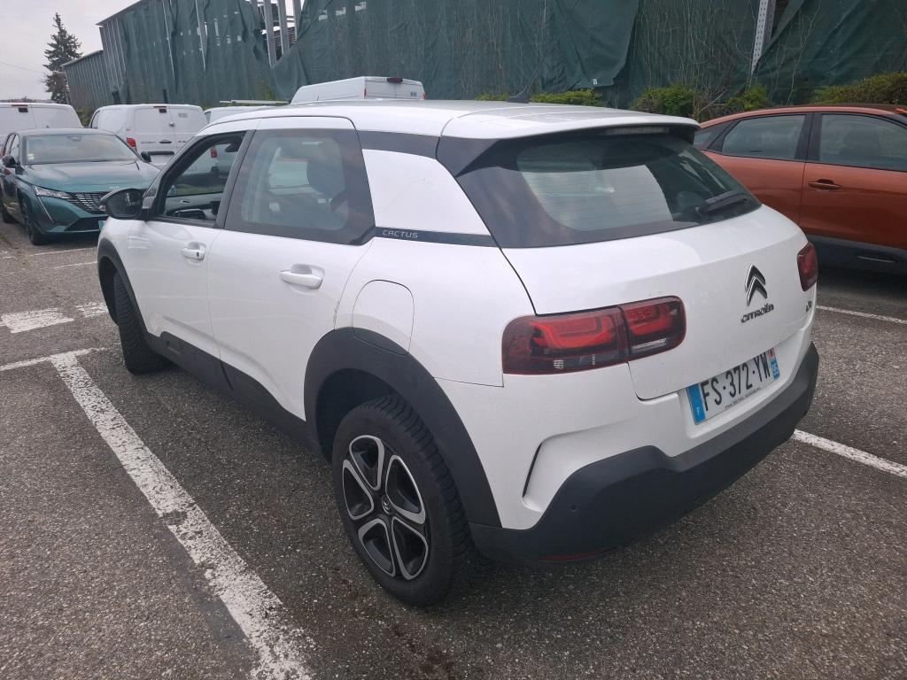 Citroen C4 CACTUS SOCIETE BLUEHDI 100 S&S BVM6 FEEL NAV 2020