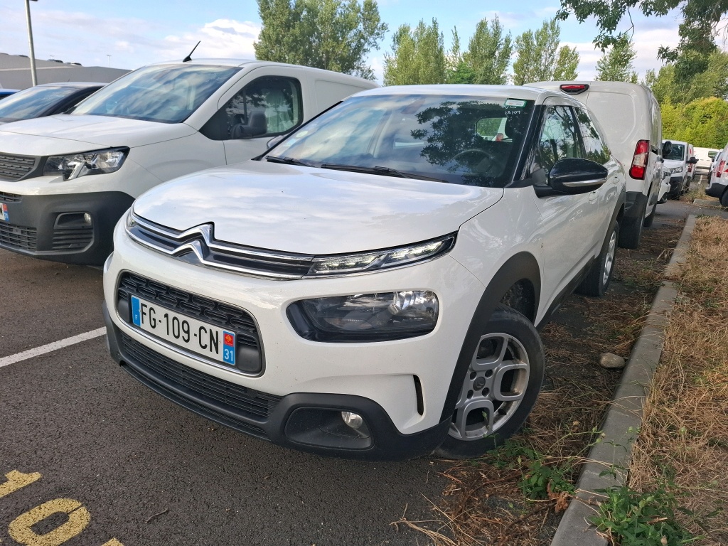 C4 CACTUS