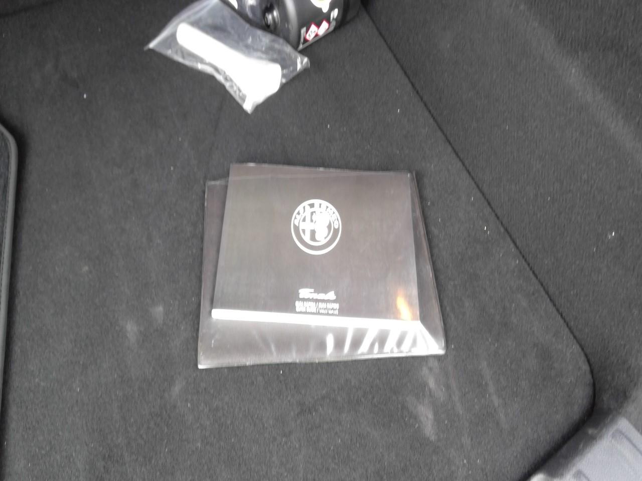 Foto Alfa Romeo Tonale 8