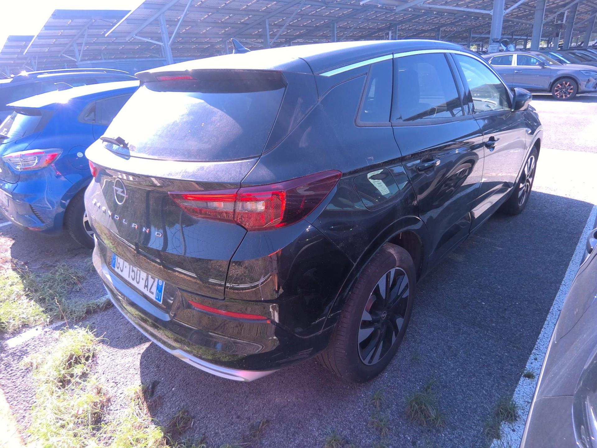 Opel Grandland 1.5 Diesel 130 ch BVA8 Elegance Business 2022
