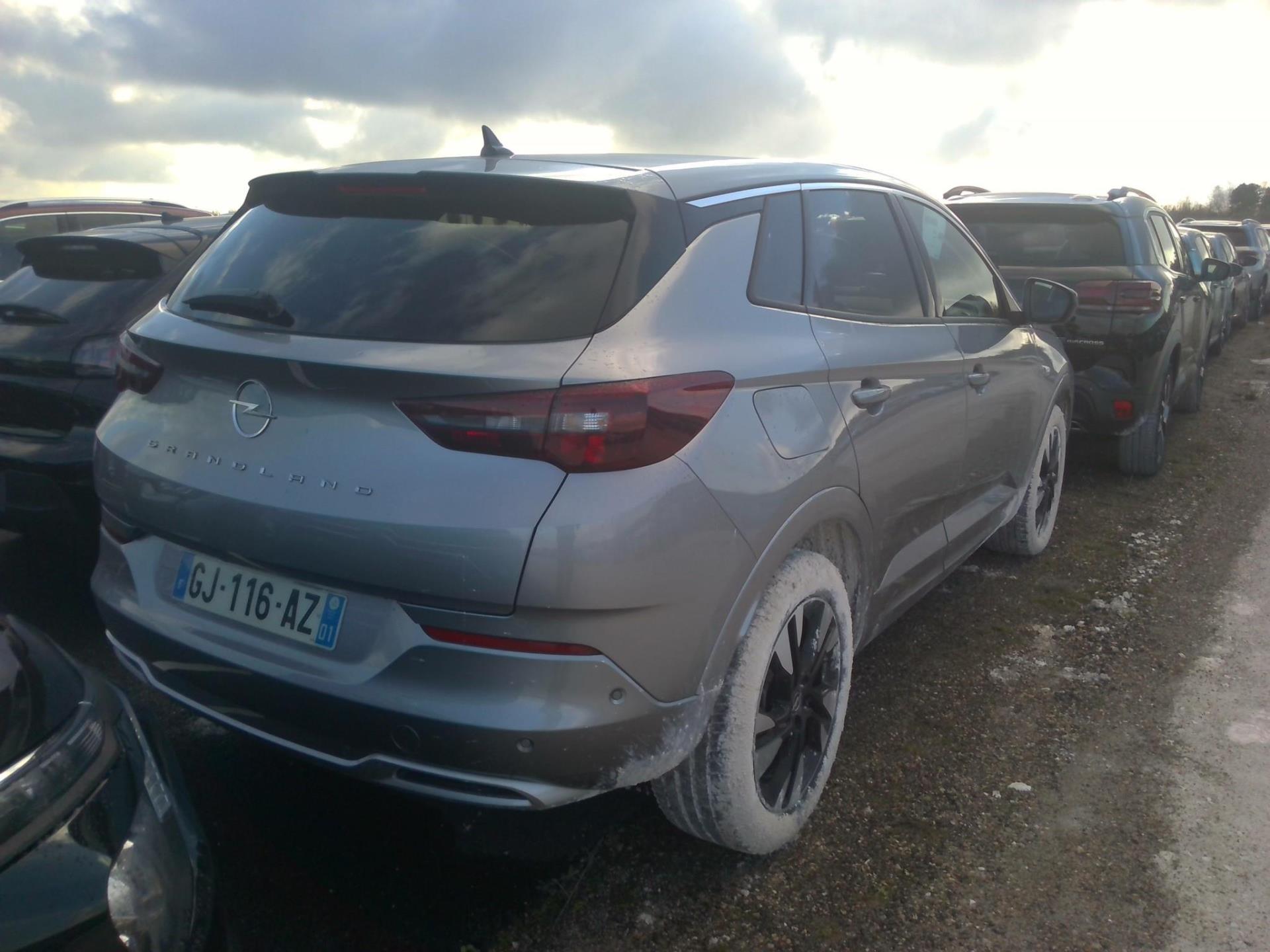 Opel Grandland 1.5 Diesel 130 ch BVA8 Elegance Business 2022