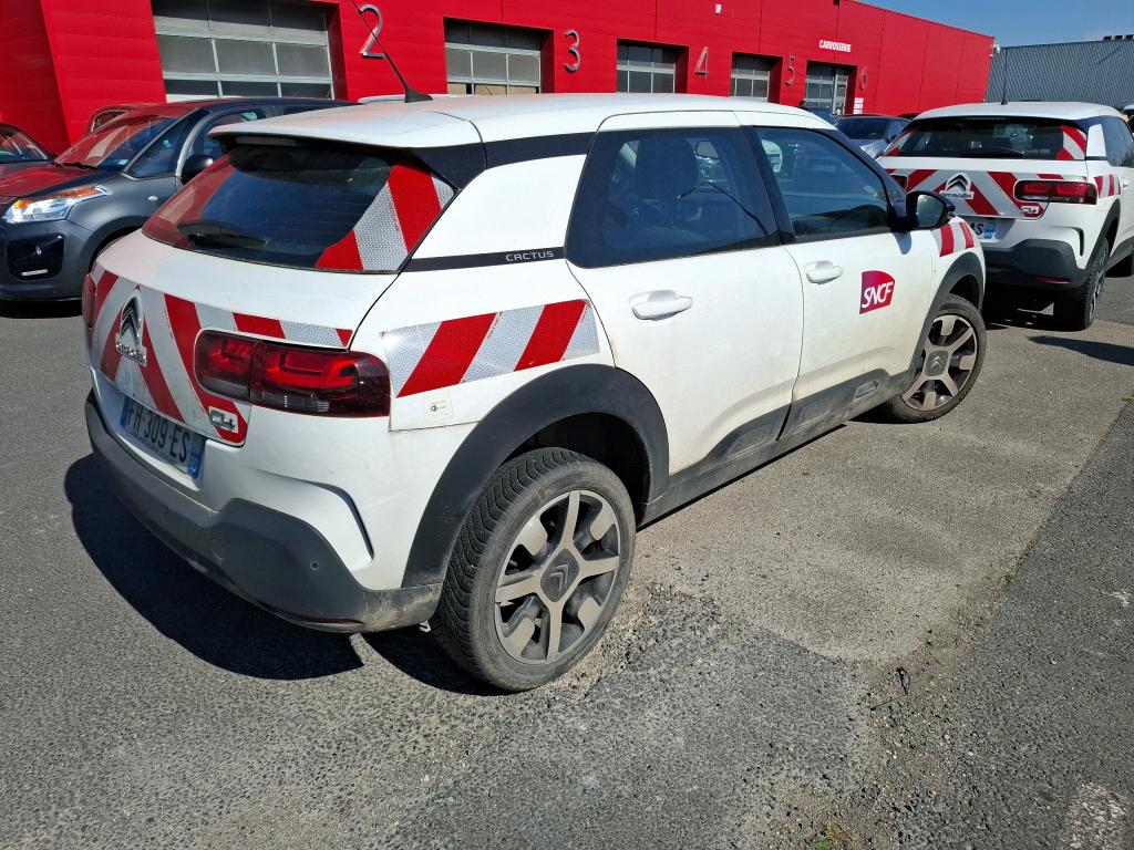 Citroen C4 Cactus BlueHDi 100 S&S BVM6 Feel 2019
