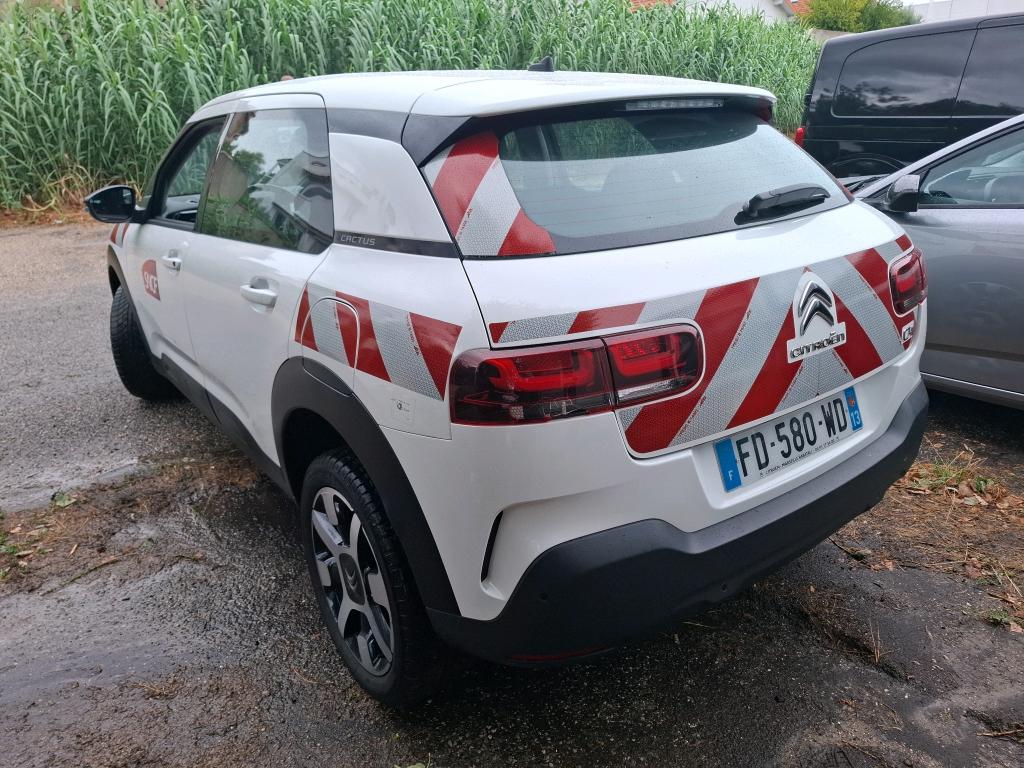 Citroen C4 Cactus BlueHDi 100 S&S BVM6 Feel 2019
