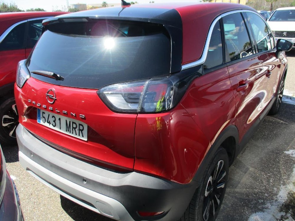 Foto Opel CrossLand 11