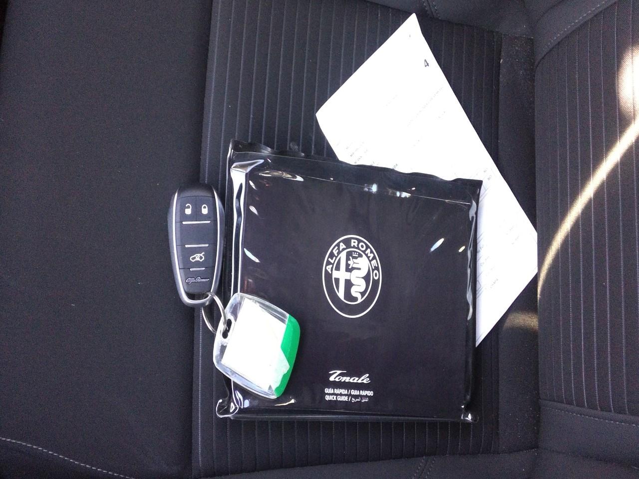 Foto Alfa Romeo Tonale 8