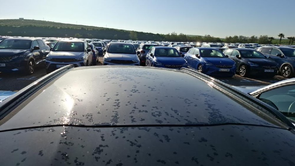 Foto Peugeot 2008 5