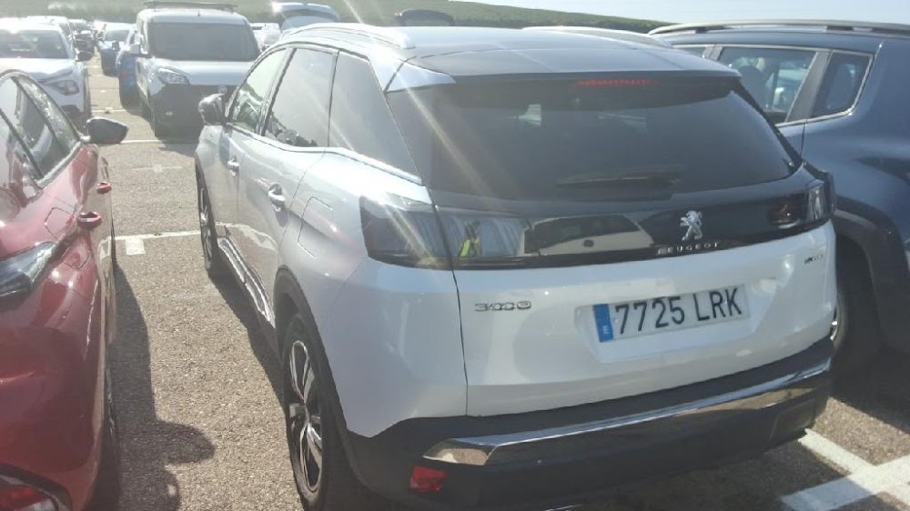 Foto Peugeot 3008 Hybrid 13