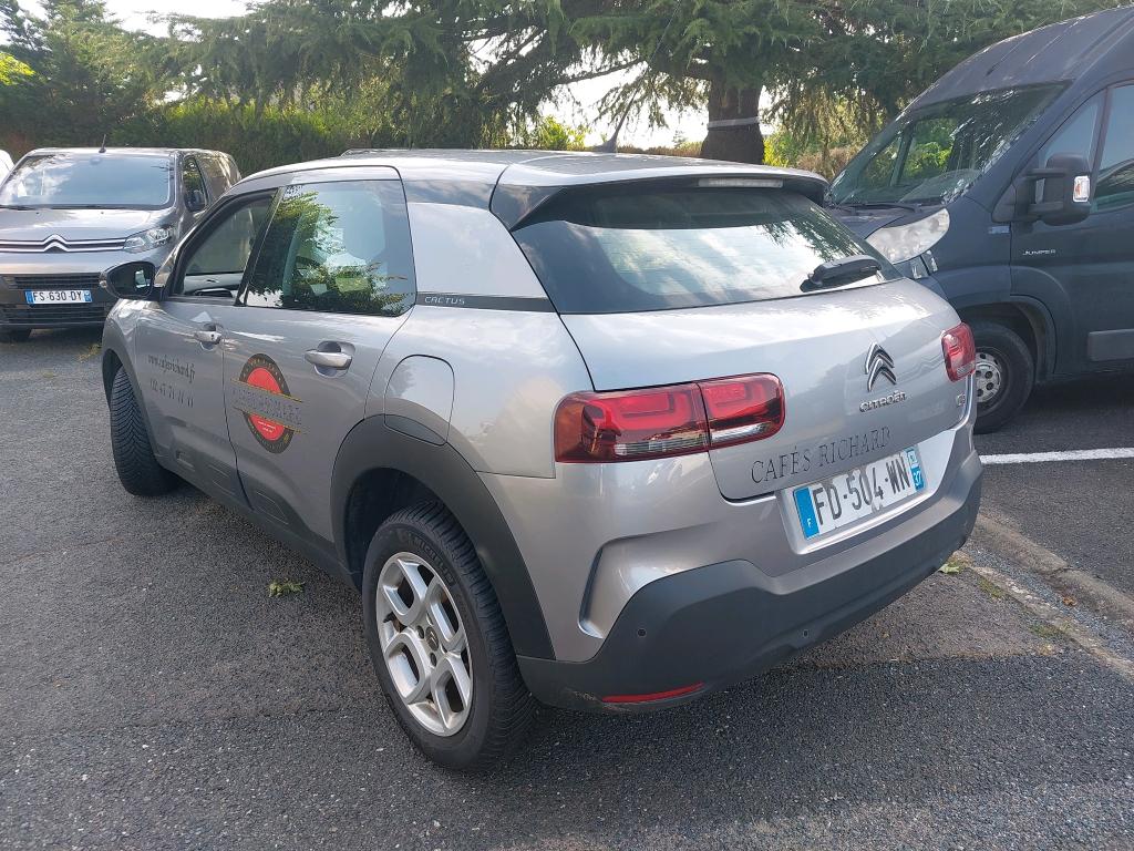 Citroen C4 CACTUS SOCIETE BLUEHDI 120 S&S EAT6 FEEL NAV 2019