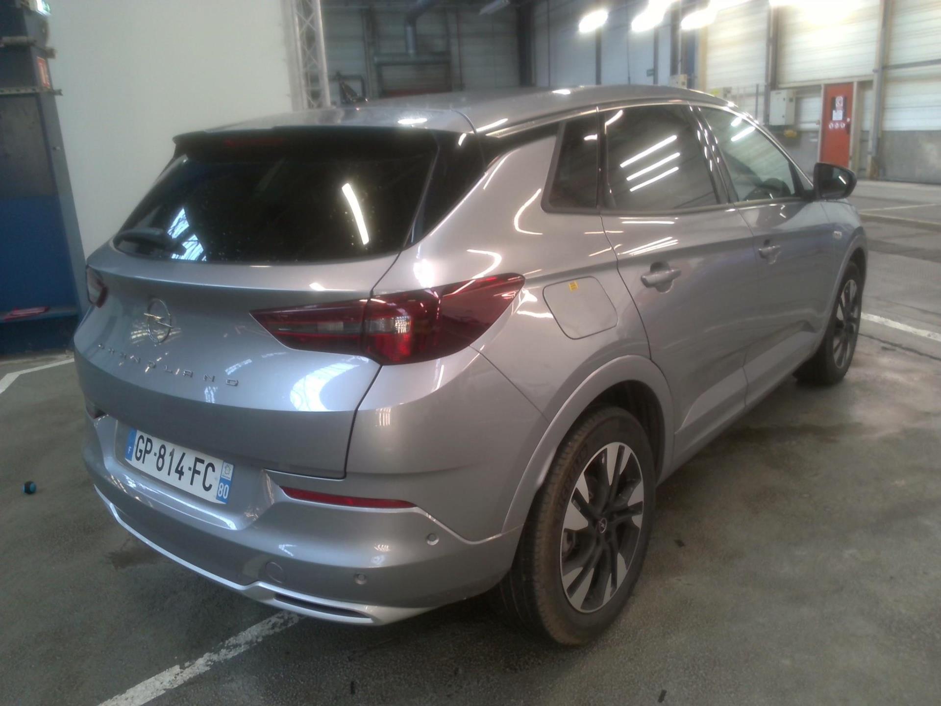 Opel Grandland 1.5 Diesel 130 ch BVA8 Elegance Business 2023