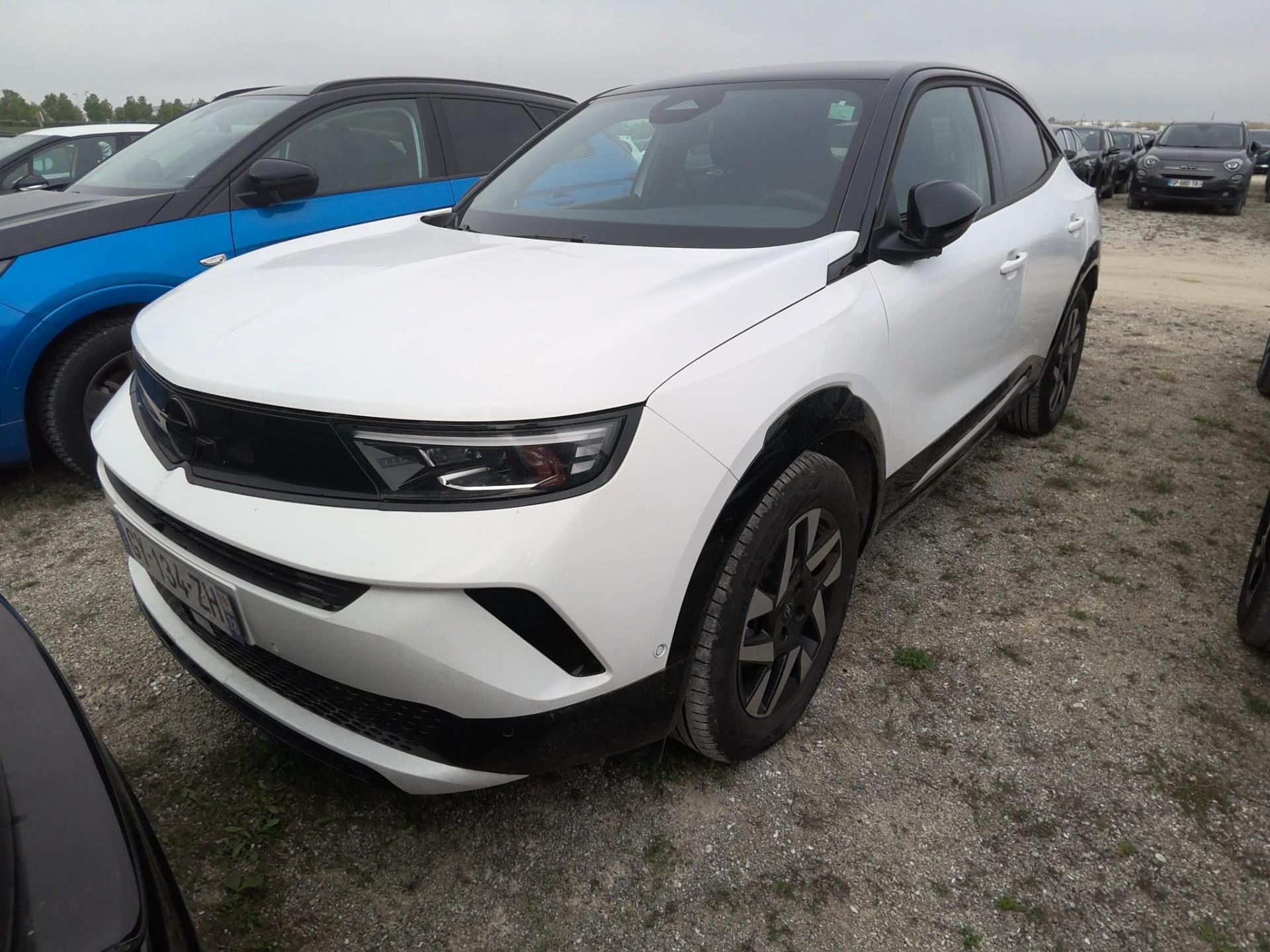 MOKKA B