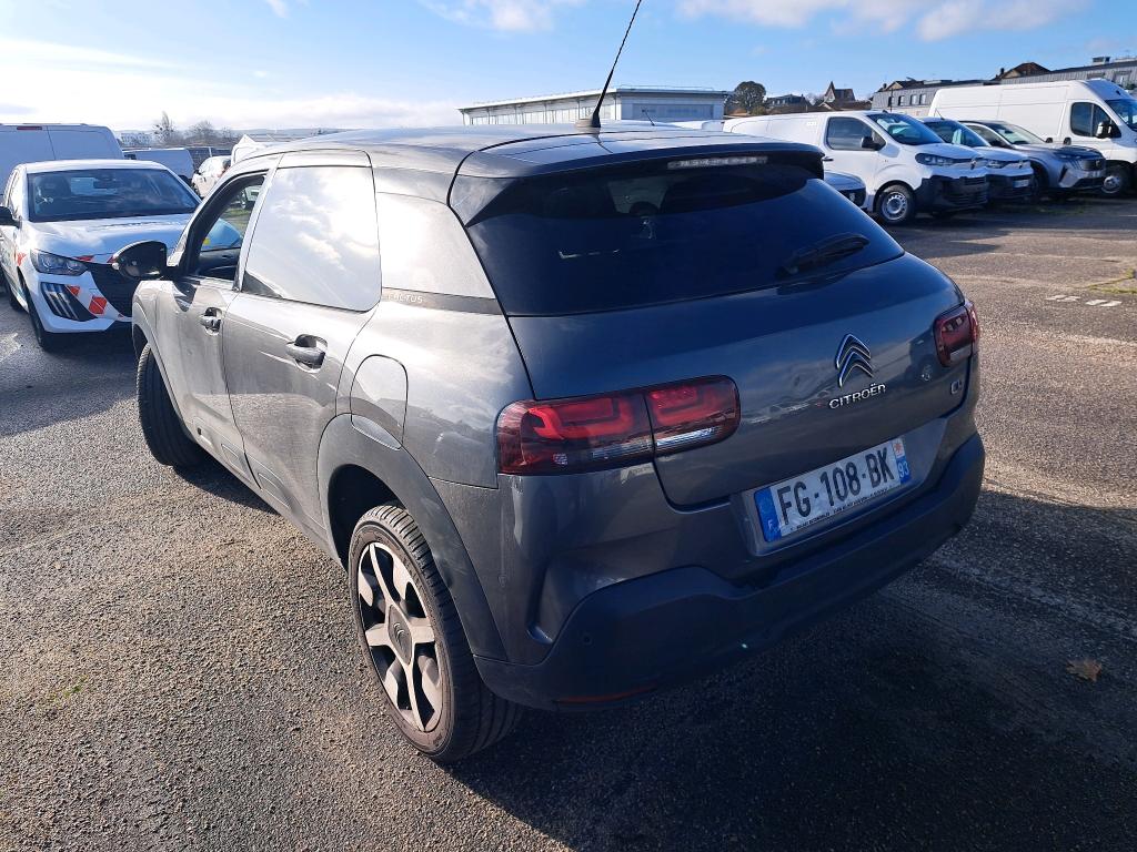 Citroen C4 Cactus PureTech 110 S&S EAT6 Shine Business 2019