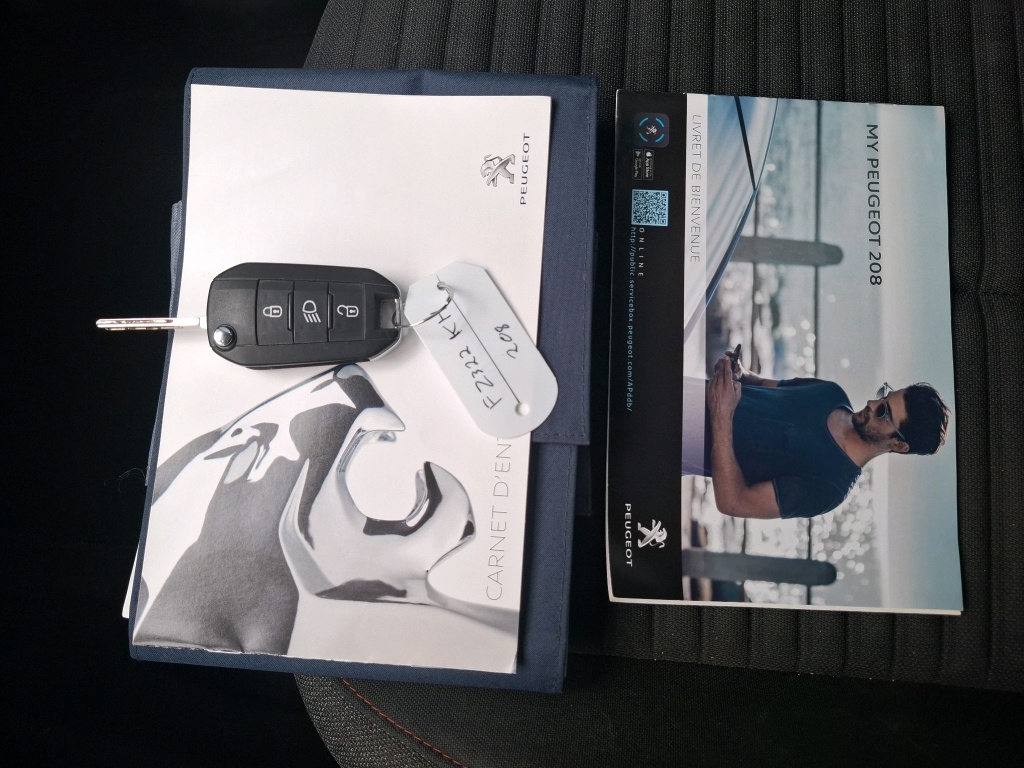 Peugeot 208 BLUEHDI 100 S&S BVM6 ACTIVE BUSINESS R 2021