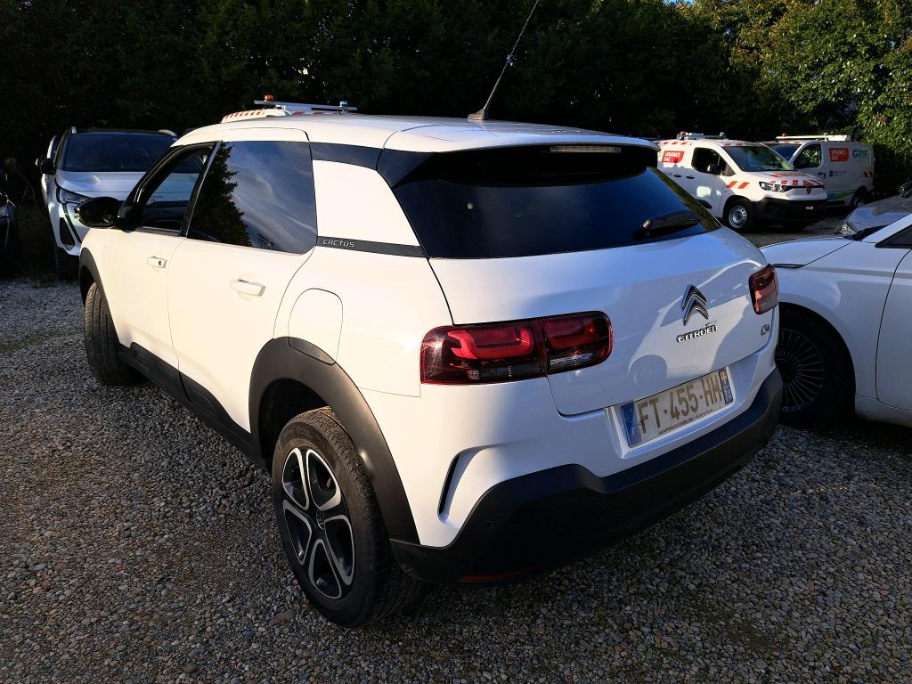 Citroen C4 Cactus PureTech 110 S&S BVM6 Feel Business 2020