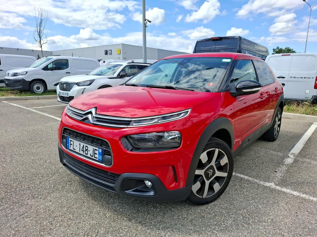 C4 CACTUS