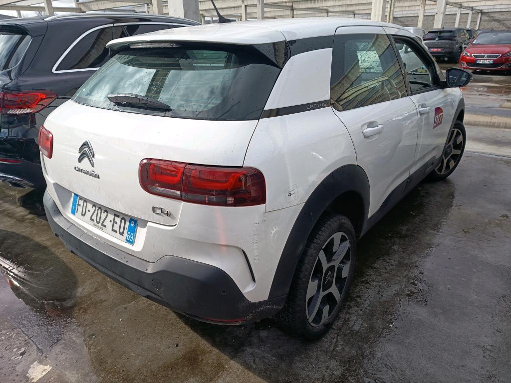 Citroen C4 Cactus BlueHDi 100 S&S BVM6 Feel 2019