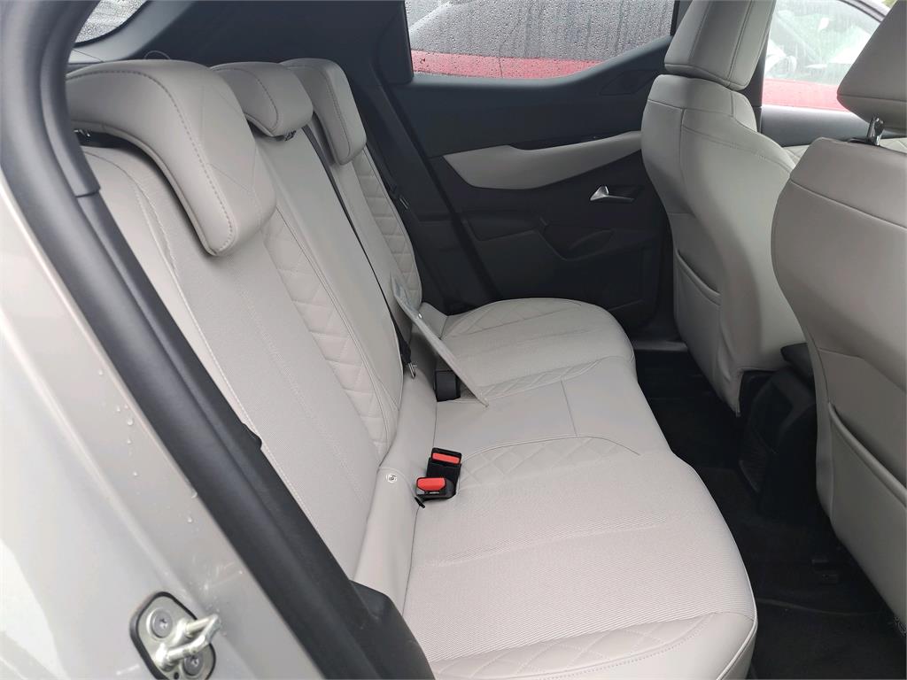 DS DS3 Crossback E-Tense Grand Chic 2020