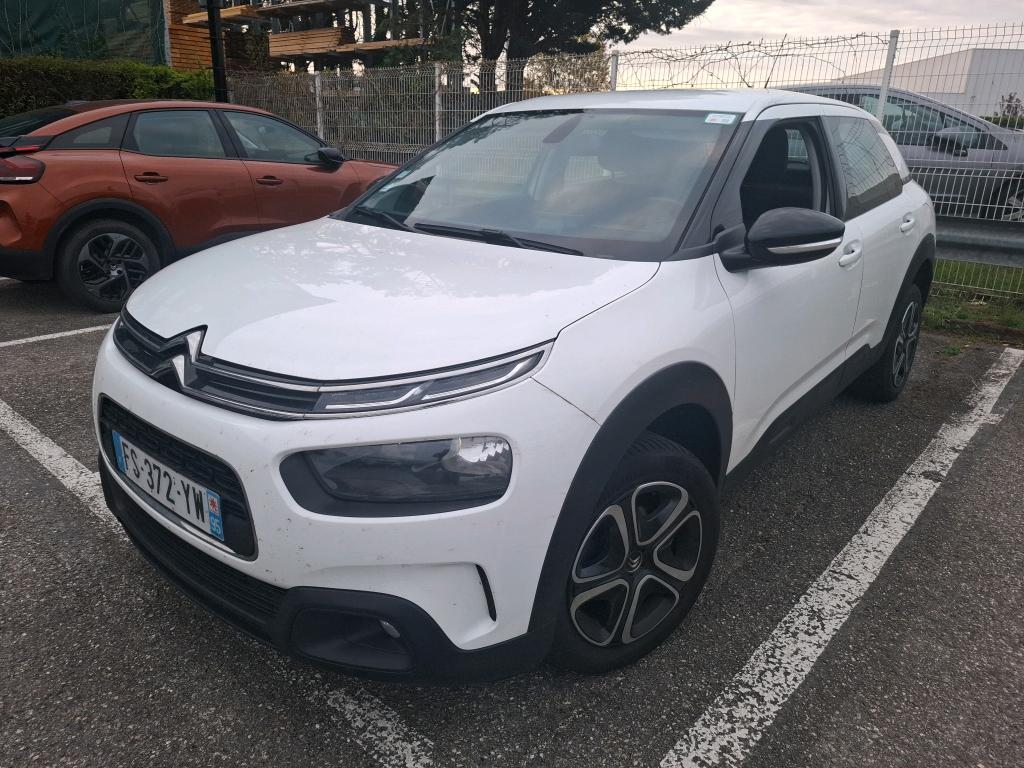 C4 CACTUS