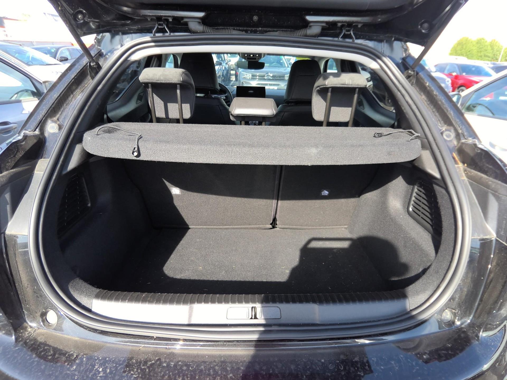 DS DS 3 PureTech 100 BVM6 Performance Line 2024