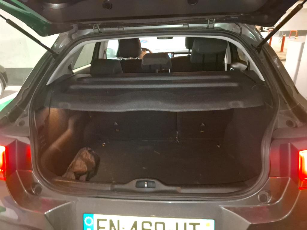 Citroen C4 Cactus BlueHDi 100 S&S BVM6 Shine 2020