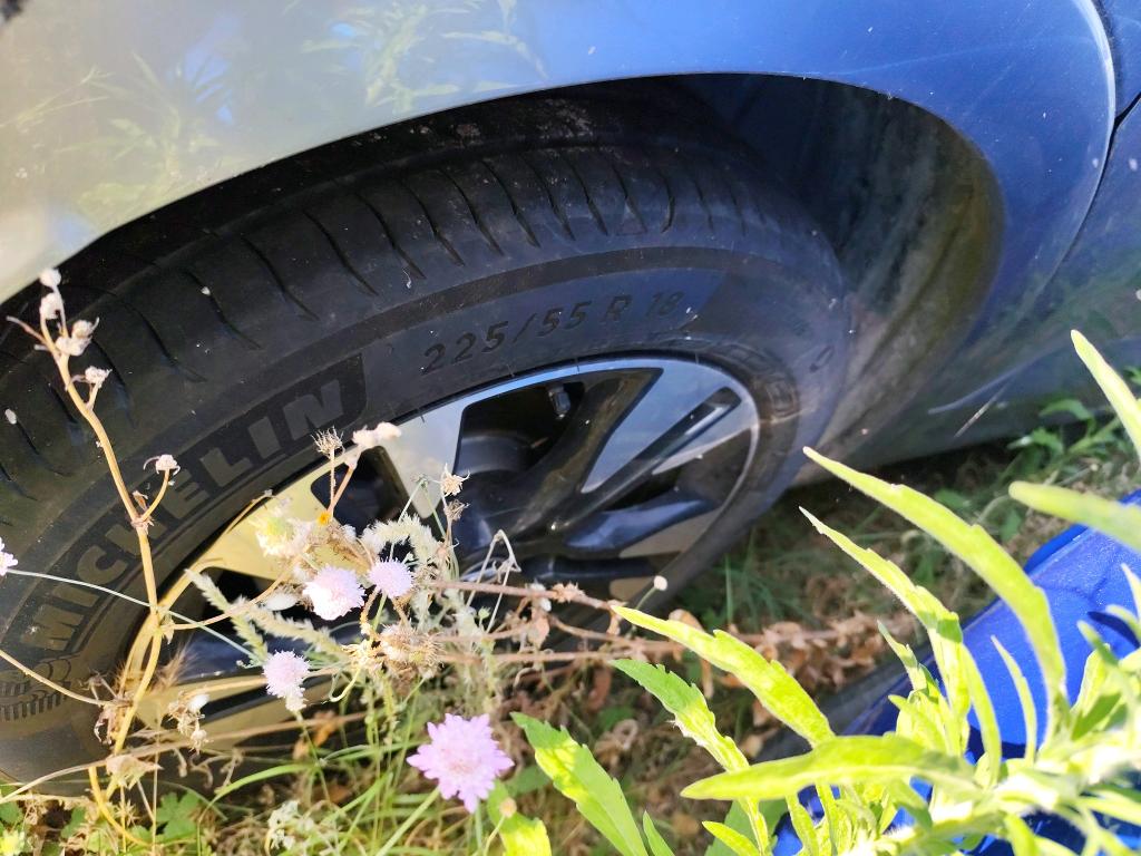 Opel Grandland 1.5 Diesel 130 ch BVA8 Elegance Business 2022