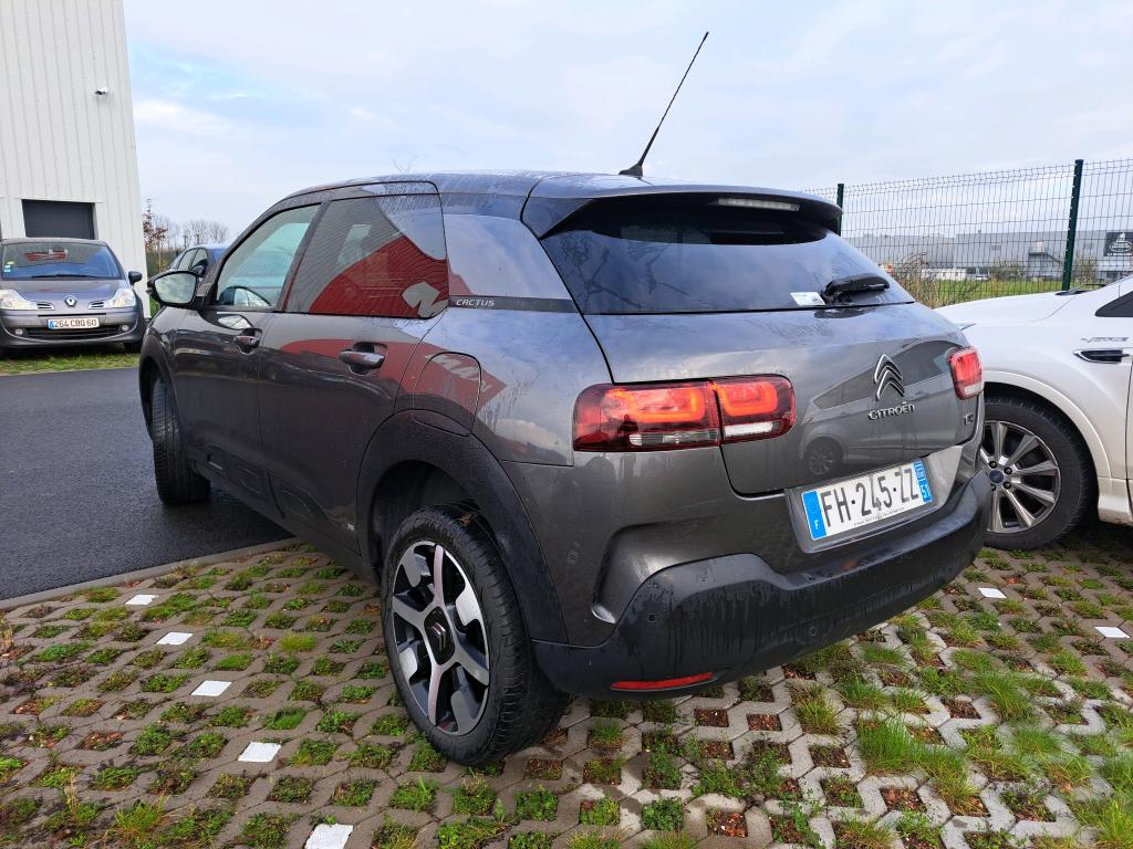 Citroen C4 Cactus BlueHDi 100 S&S BVM6 Shine Business 2019