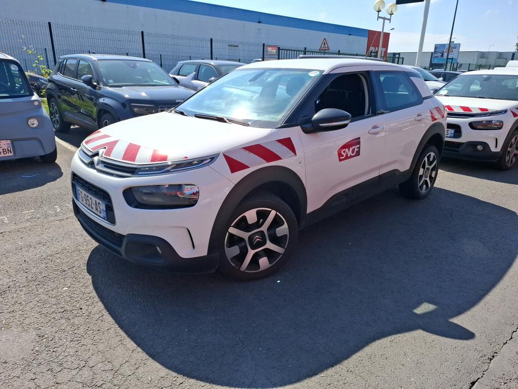 C4 CACTUS