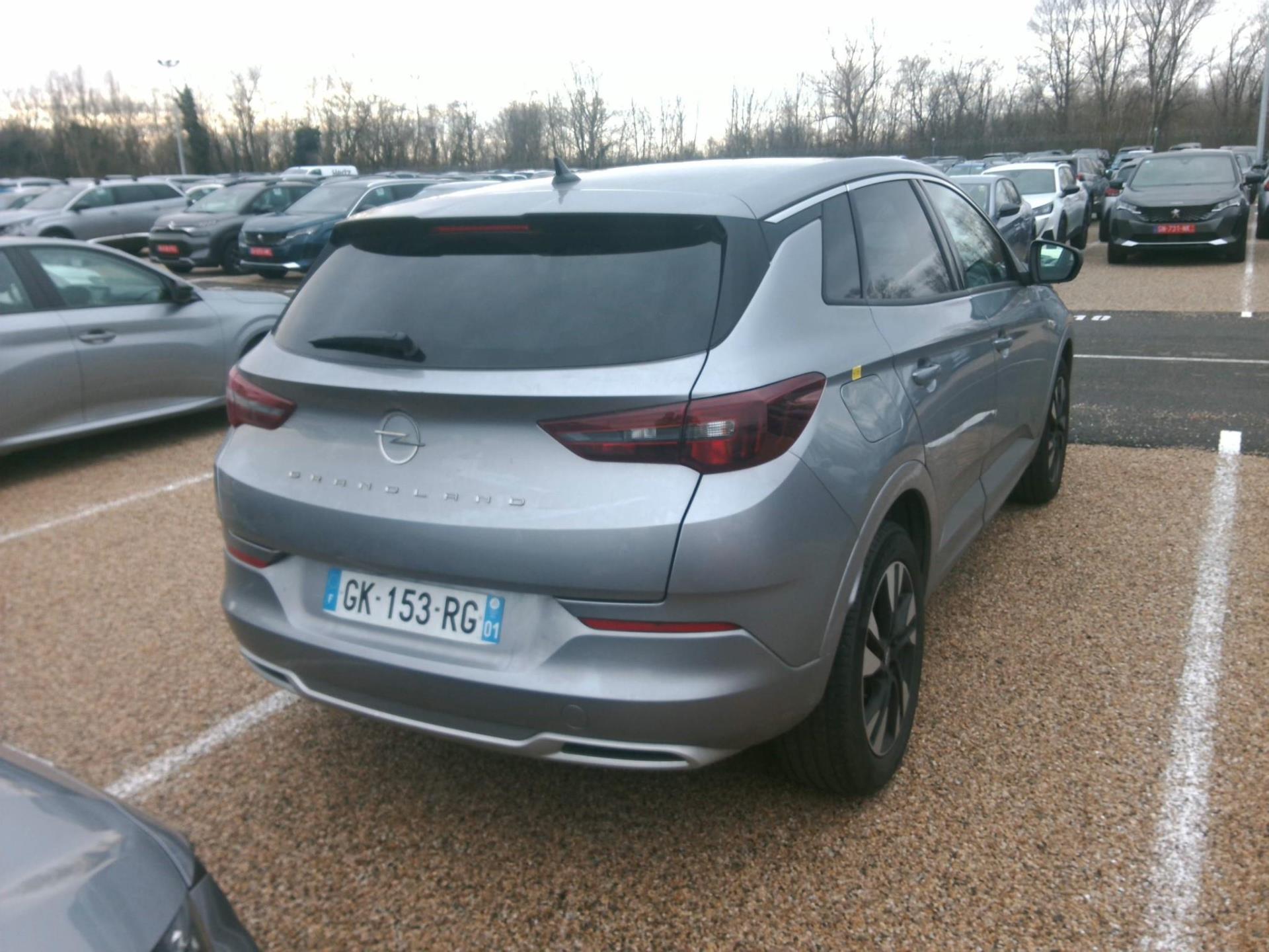 Opel Grandland 1.5 Diesel 130 ch BVA8 Elegance Business 2022