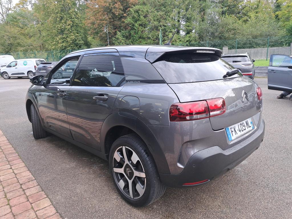 Citroen C4 Cactus PureTech 110 S&S EAT6 Shine 2019