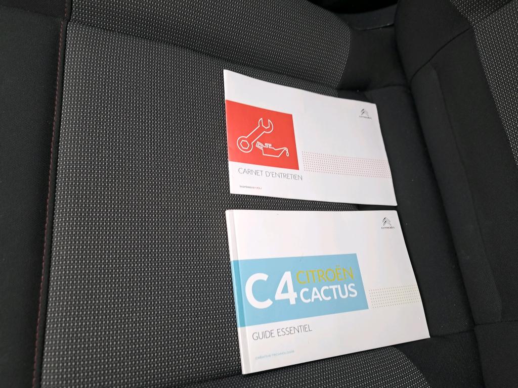 Citroen C4 Cactus BlueHDi 120 S&S EAT6 Feel Business 2019
