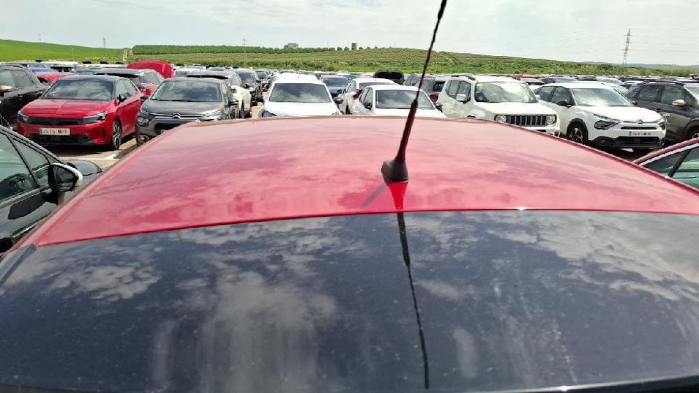 Foto Opel CrossLand 8