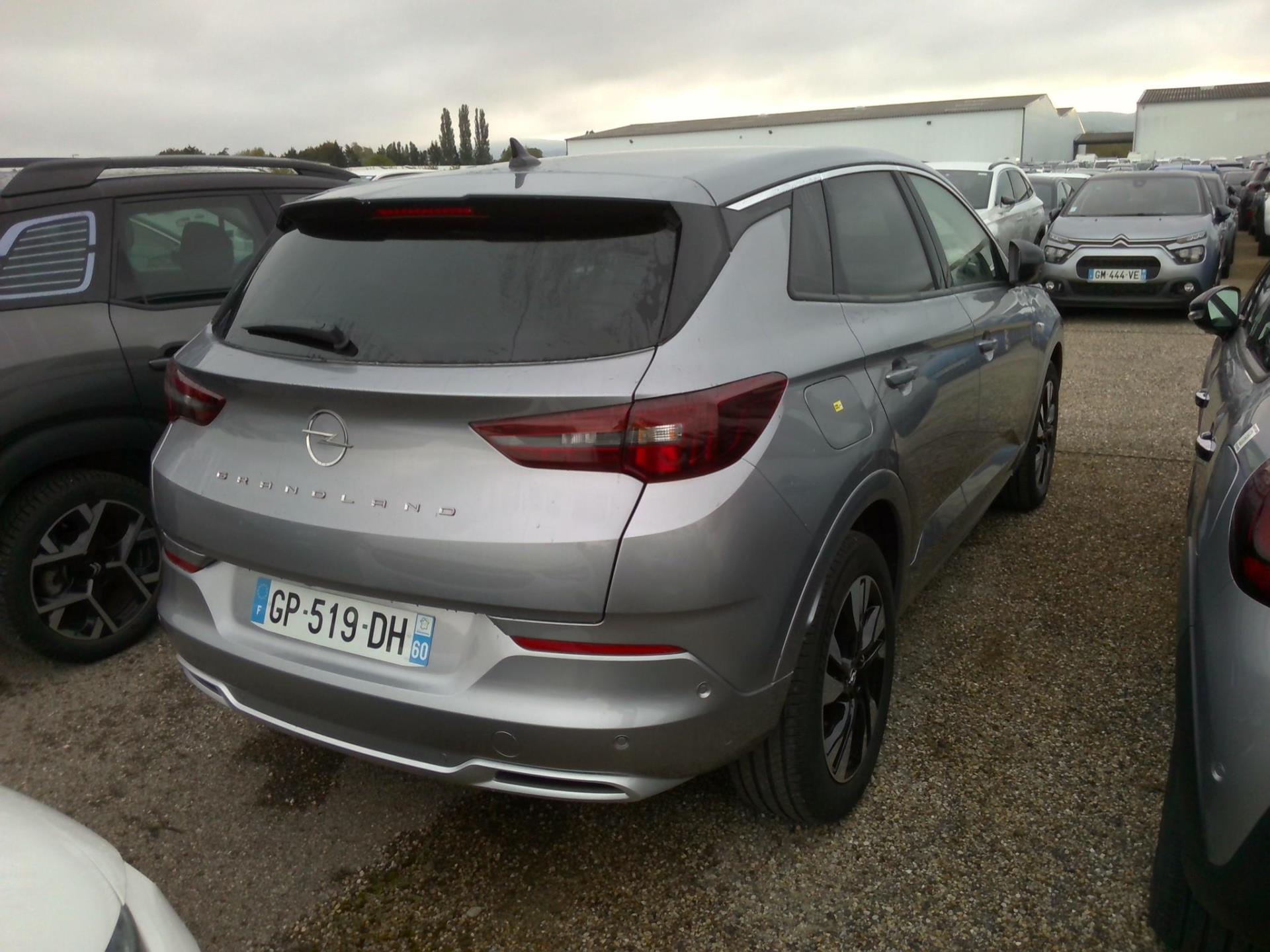 Opel Grandland 1.5 Diesel 130 ch BVA8 Elegance Business 2023