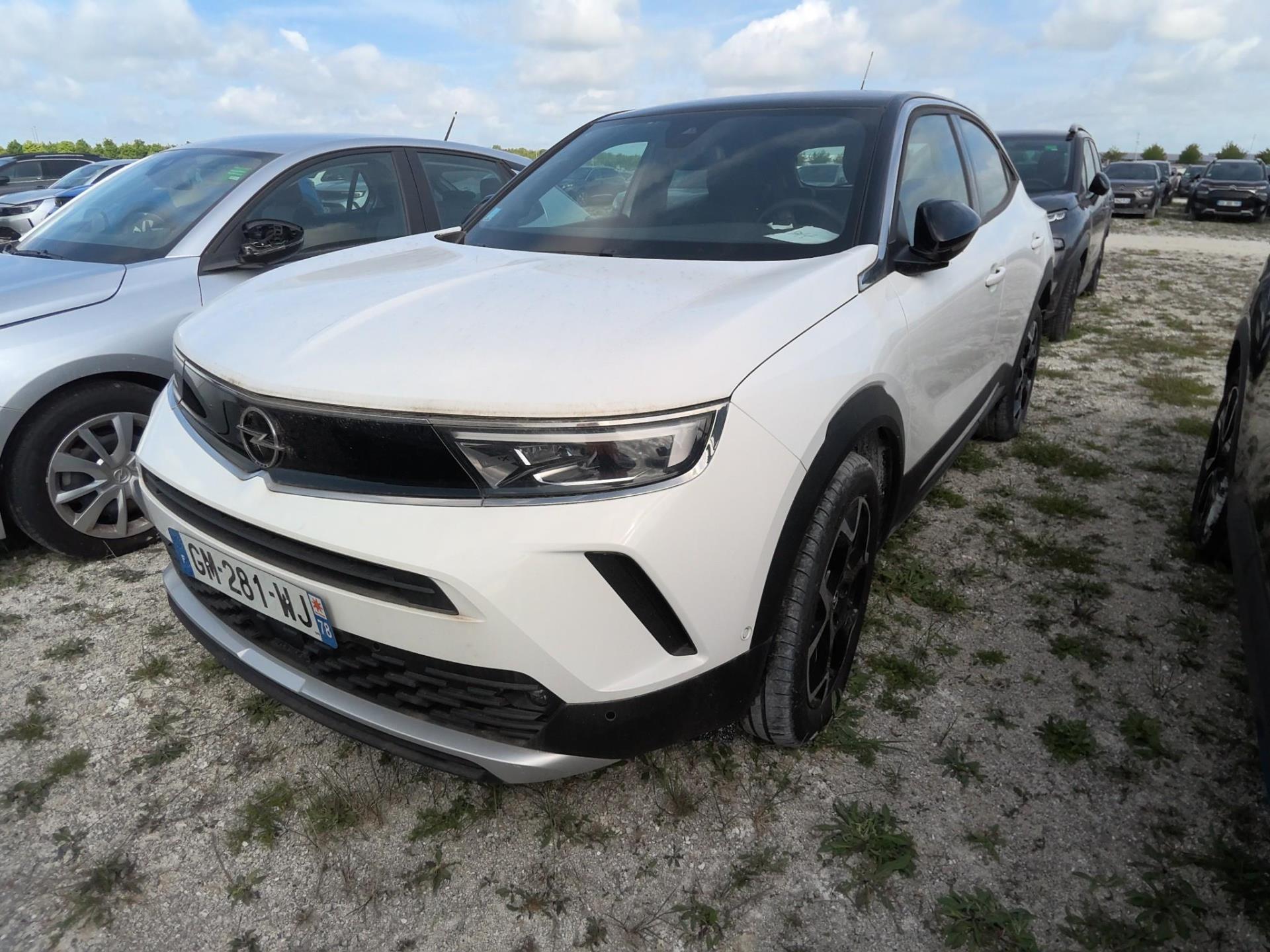 MOKKA B