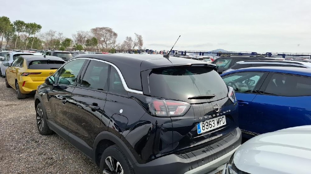 Foto Opel CrossLand 6