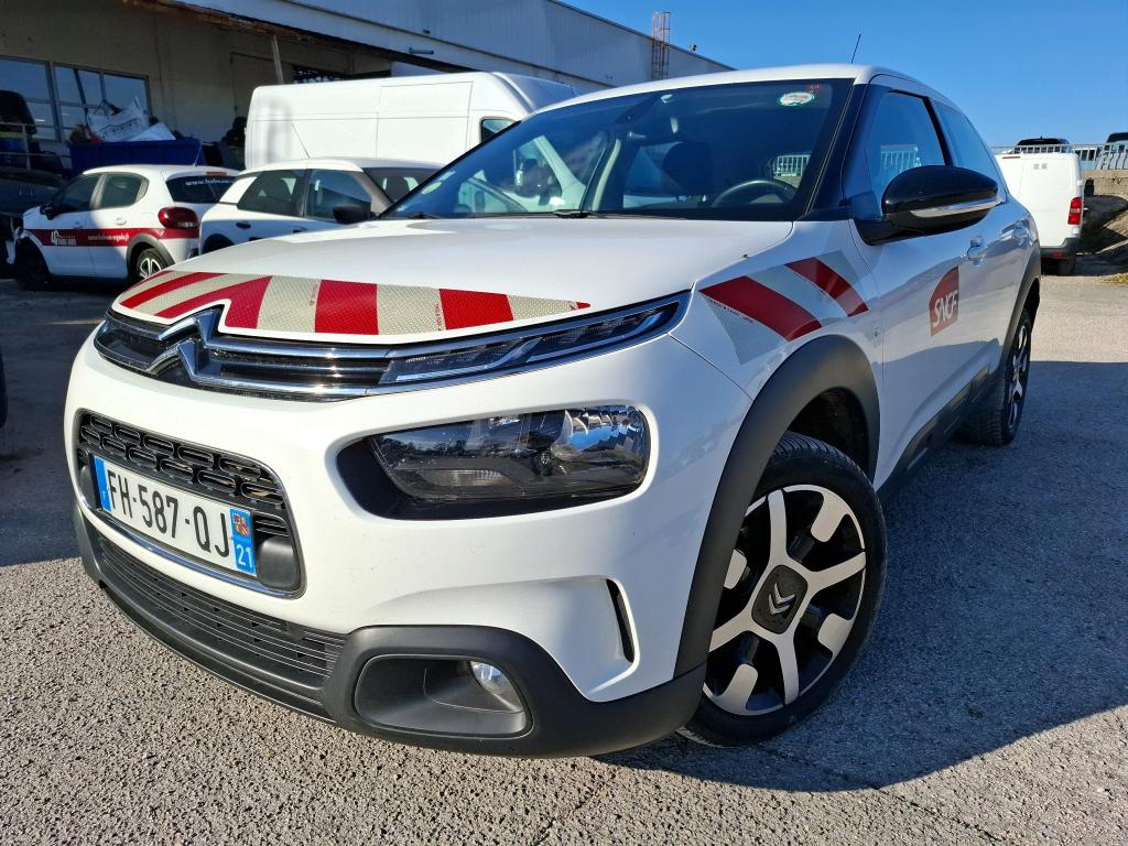 C4 CACTUS