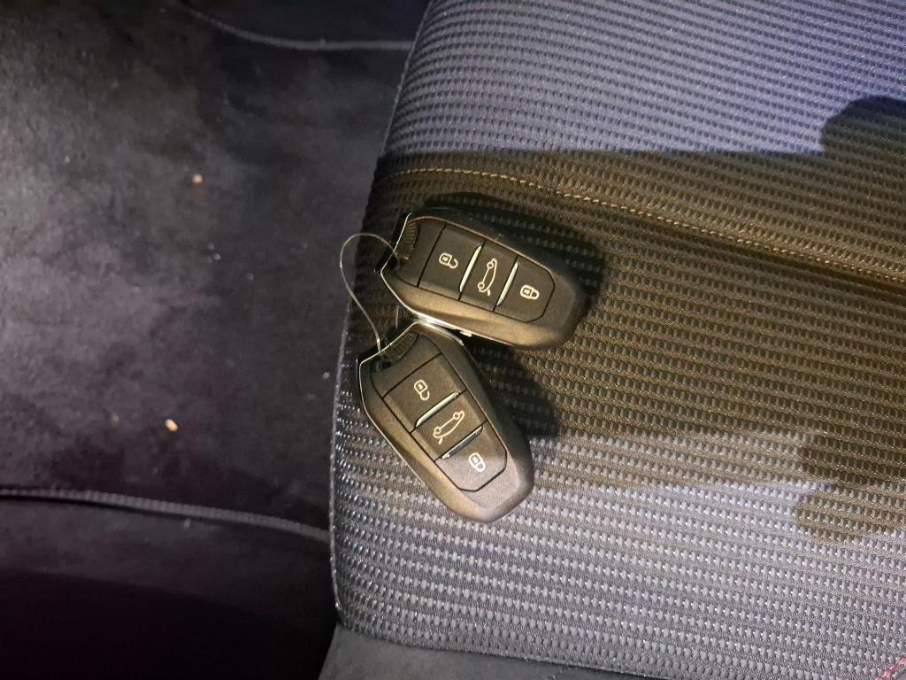 DS DS 4 Hybride E-Tense 225 EAT8 Performance Line+ 2022