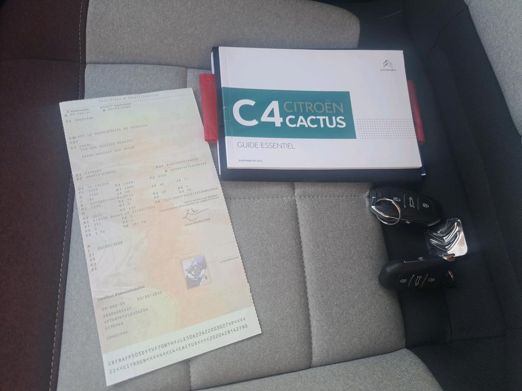 Citroen C4 Cactus BlueHDi 100 S&S BVM6 Shine Business 2020
