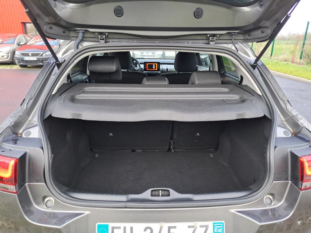 Citroen C4 Cactus BlueHDi 100 S&S BVM6 Shine Business 2019