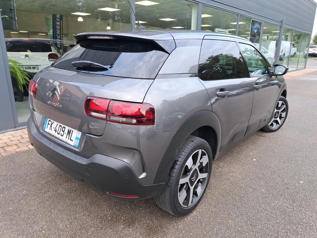 Citroen C4 Cactus PureTech 110 S&S EAT6 Shine 2019