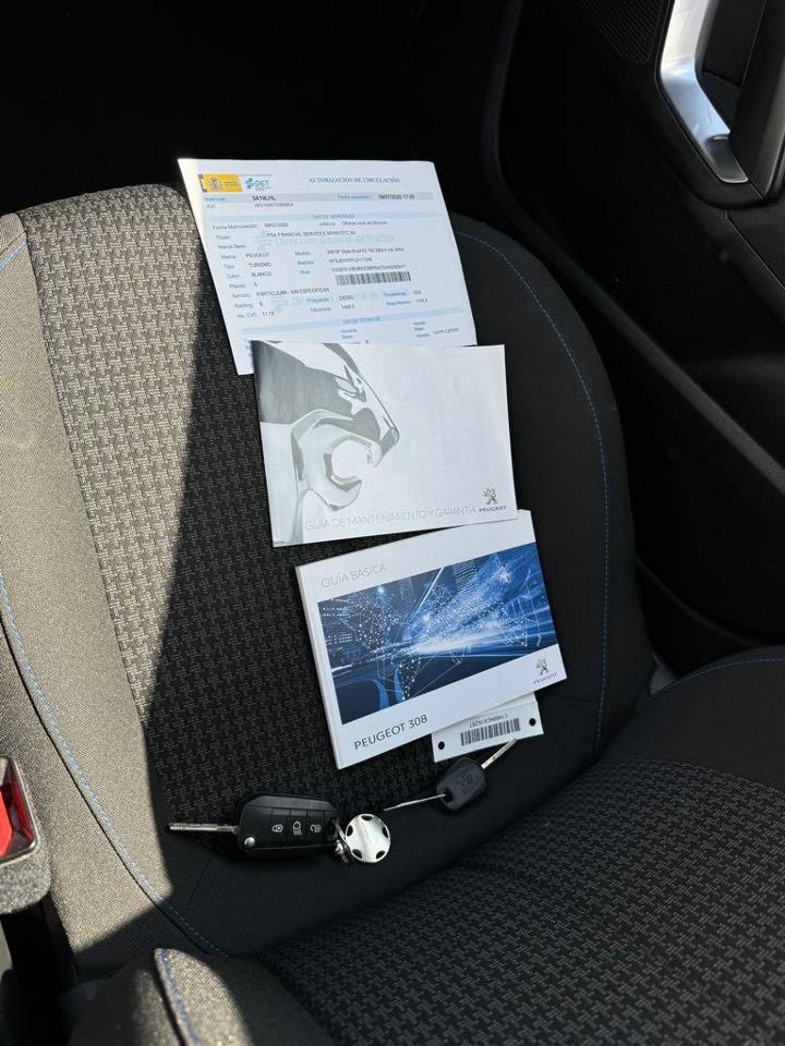 Foto Peugeot 308 9
