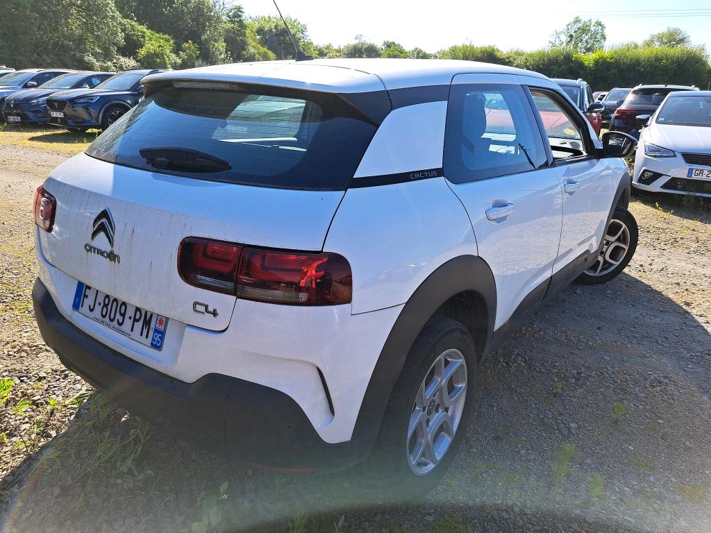 Citroen C4 CACTUS SOCIETE BLUEHDI 100 S&S BVM6 FEEL NAV 2019