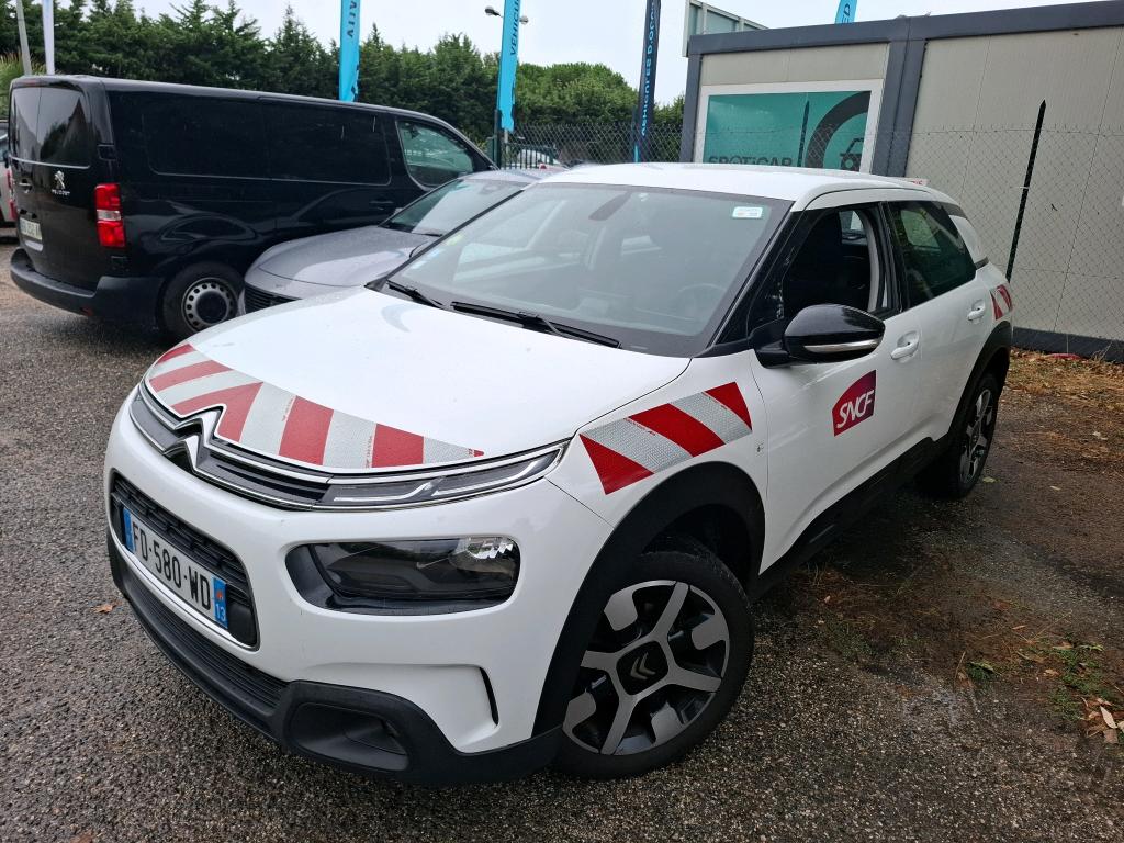 C4 CACTUS