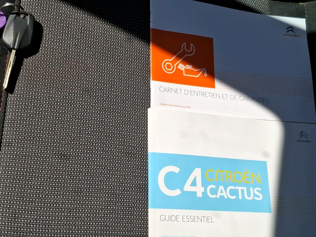 Citroen C4 Cactus BlueHDi 100 S&S BVM6 Feel 2019