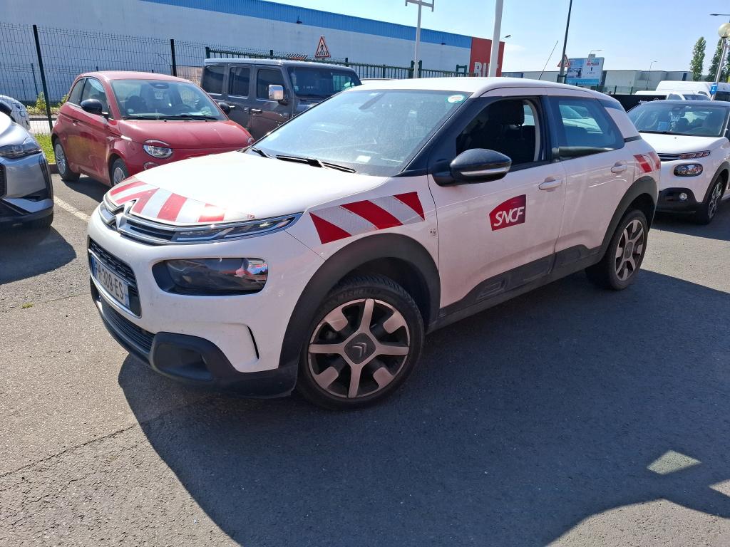 C4 CACTUS